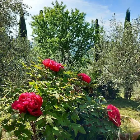 Casa Di Campagna Con Yurta E Piscina *