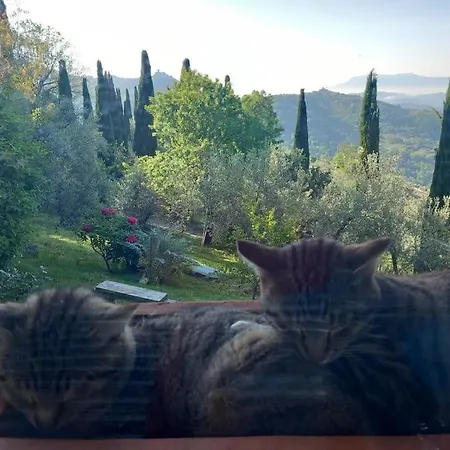 Casa Di Campagna Con Yurta E Piscina Bellegra