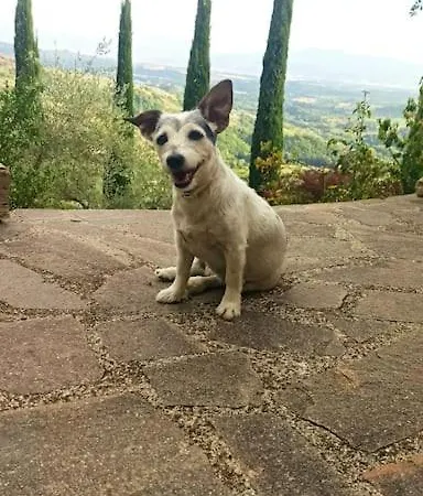Casa Di Campagna Con Yurta E Piscina * Bellegra